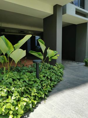 Die Casting COB Exterior Bollard Lighting LED IP65 waterdicht