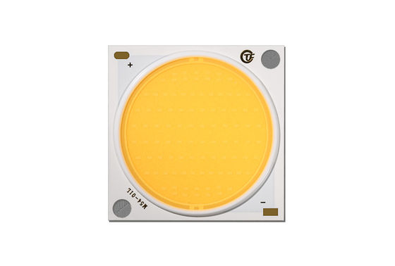 Witte uitzendende kleur LED COB chip vol spectrum groeiend 5W 7W 9W