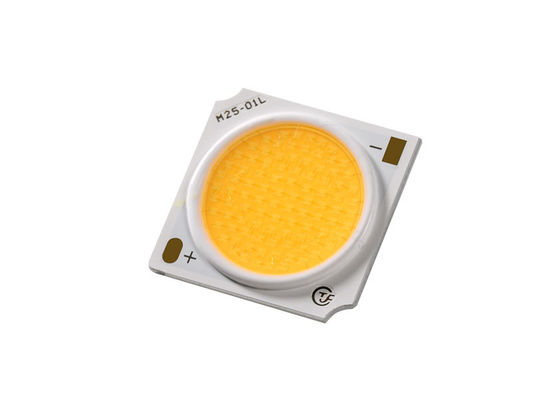 Waterdichte LED-chip COB 30W voor kleurverlichting ANSI-standaard