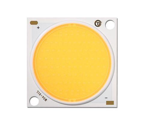 Geïntegreerde 300 Watt COB LED voor commerciële verlichting Fotografie licht